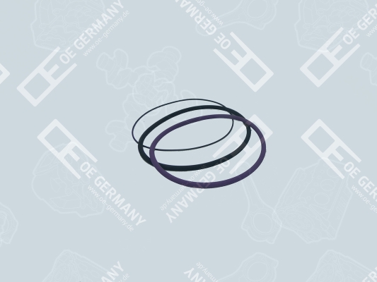 O-Ring Set, cylinder sleeve - 030111100000 OE Germany - 275734-2, 275734, 271158-8